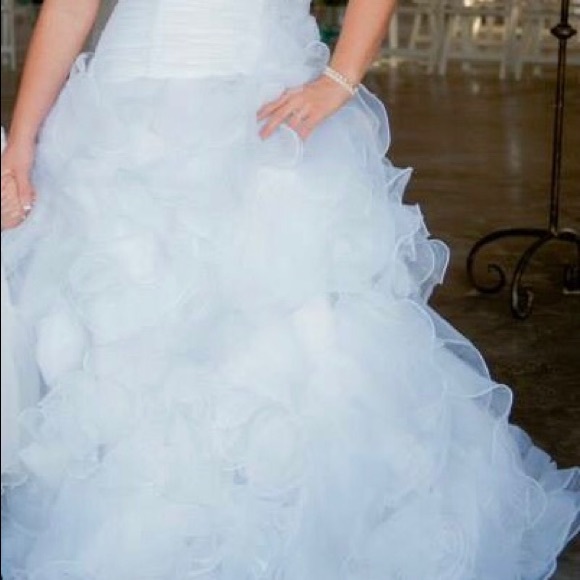 Meet your Posher, Savannah - Picture 3 of 3